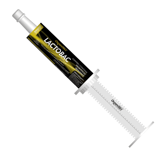 LACTOBAC EQUI