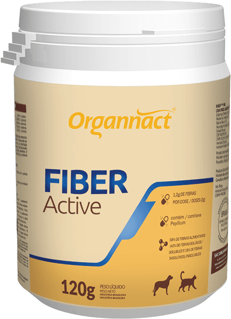 FIBER ACTIVE