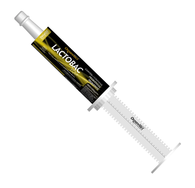 LACTOBAC EQUI